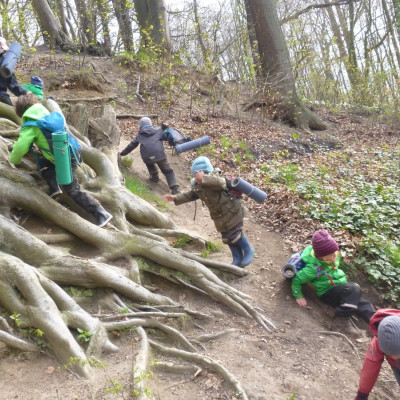 Kletterparadies Baumwurzel